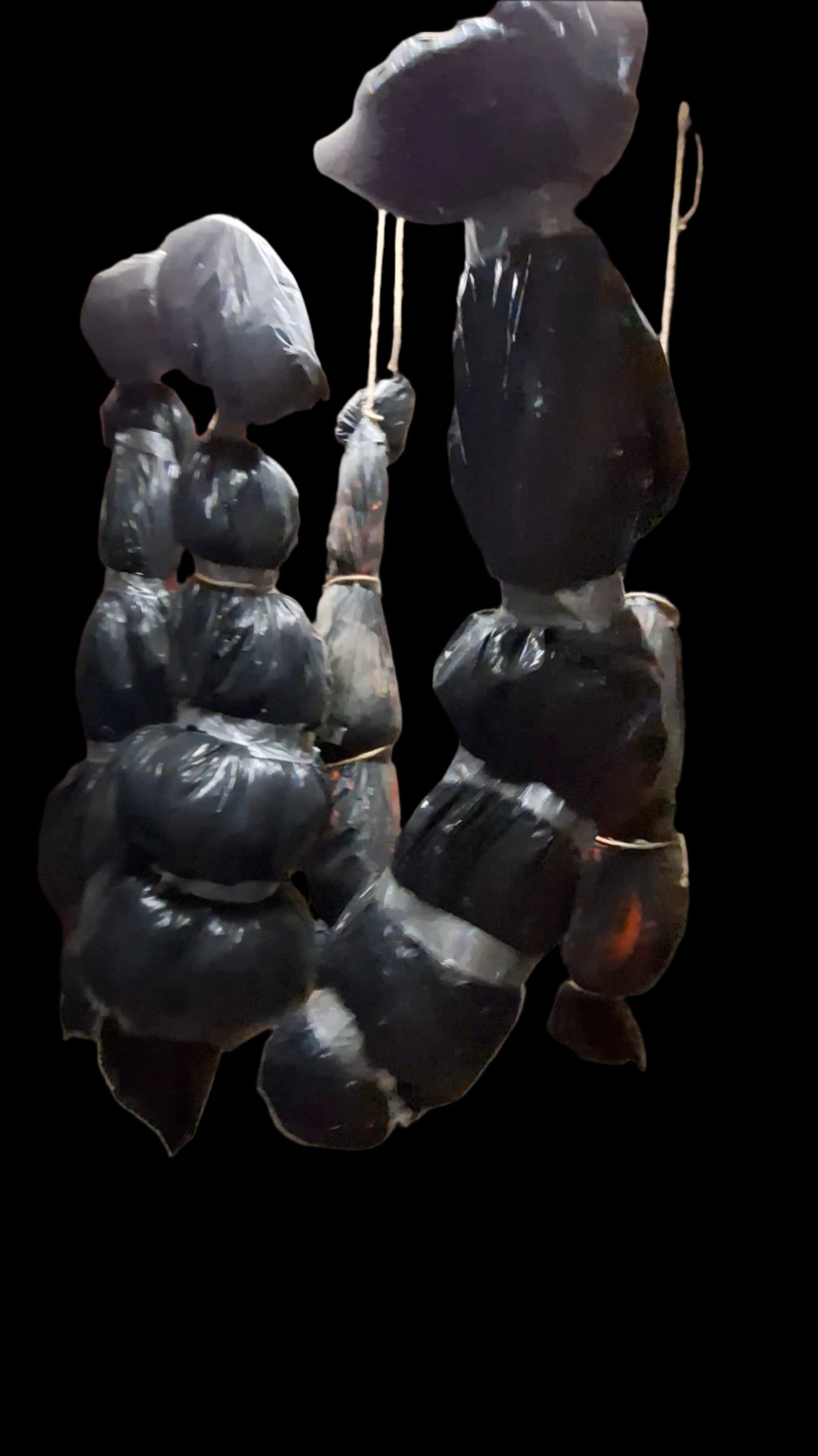 Living body in the bag