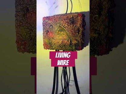 Living Wire
