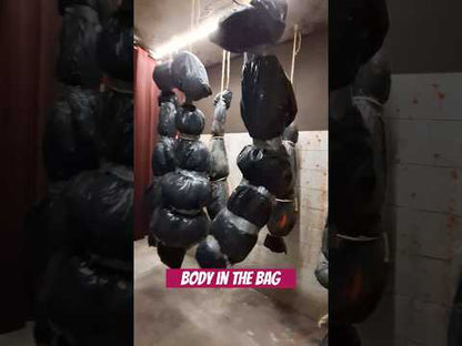 Set of Bodies in the Bag